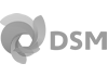 DSM